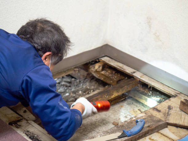 Water Damage Restoration in Hampton, MD
