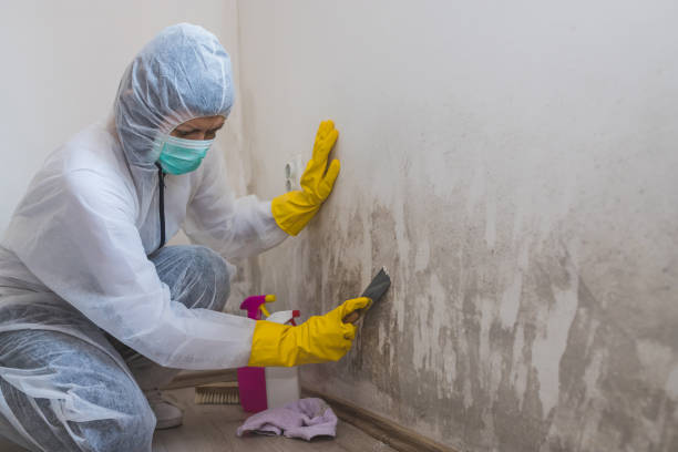 Best Water Damage Restoration  in Hampton, MD
